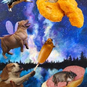 Meet your Posher, Paul